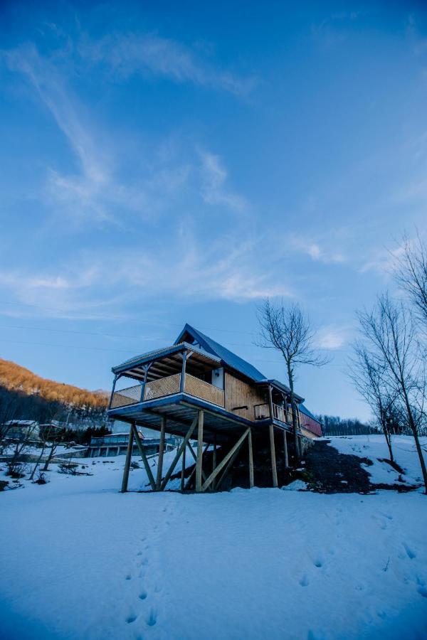 Maksudiye Selale Tatil Koyu Villa Geyve Dış mekan fotoğraf